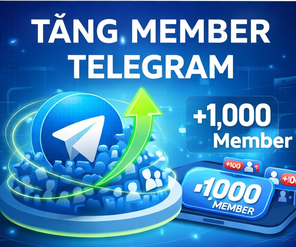 Dịch Vụ Tăng Member Telegram – Mở Rộng Cộng Đồng Của Bạn