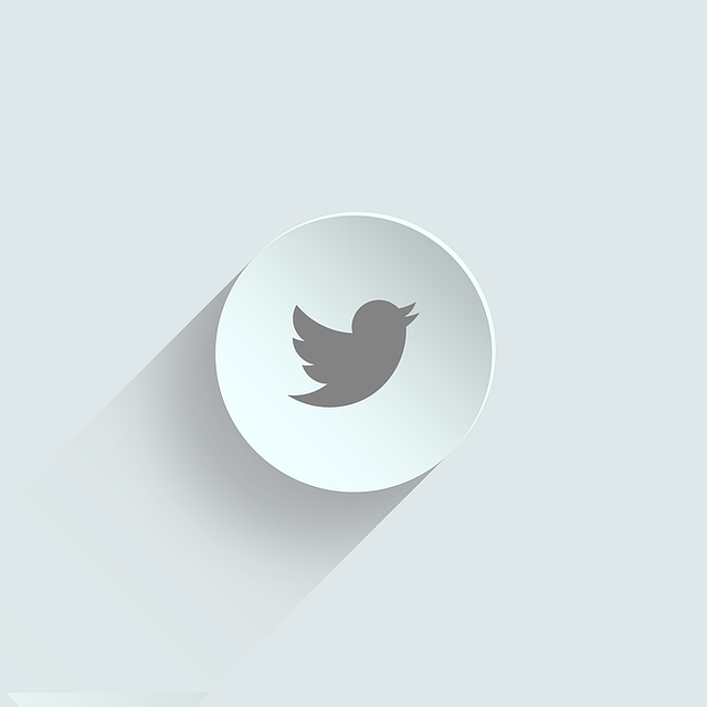 Twitter Cổ Độ Tuổi Cao – Tài Khoản X Đời Cũ Uy Tín – Dễ Sử Dụng – Ít Rủi Ro – Bảo Hành Đổi Acc