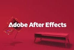 Tài Khoản Adobe Full Apps Chính Hãng – Một Tài Khoản, Sáng Tạo Không Giới Hạn