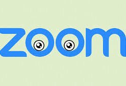 Zoom Pro Chính Hãng – Dùng Cá Nhân Ổn Định