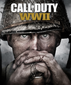 Call of Duty: WWII – Steam Offline
