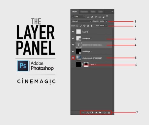 Layer-Adobe