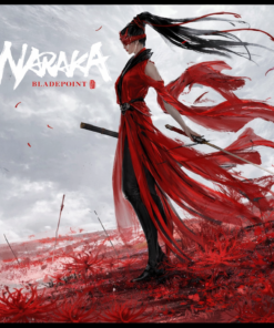 ⚔️ Naraka: Bladepoint – Online Mode