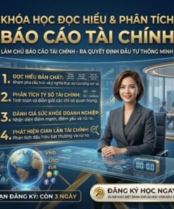 Alternative view of Khóa học đọc hiểu và phân tích báo cáo tài chính – Nắm vững số liệu, đầu tư thông minh