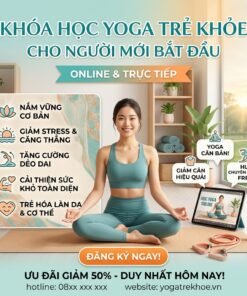Yoga cho người mới bắt đầu – Trẻ khoẻ, đẹp dáng chỉ sau thời gian ngắn