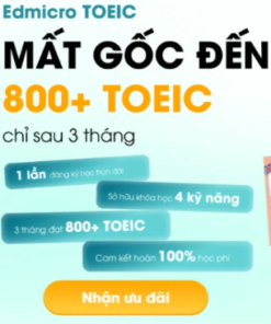 Khóa Học Edmicro Toeic – Mất Gốc Đến 800+ Toeic Chỉ Sau 3 Tháng