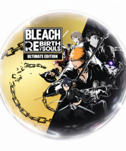 Bleach Rebirth Of Souls